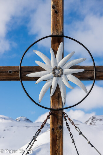 Gipfelkreuz mit Edelweiss an Bergstation Tux 150  Schwendau Tirol Österreich by Peter Ehlert in ZillerLanersbach