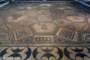 Kölner Philosophen Mosaik  Köln Nordrhein-Westfalen Deutschland by Peter Ehlert in Köln_RöGer_Museum