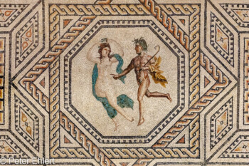 Dionysos-Mosaik (200 n Chr.)  Köln Nordrhein-Westfalen Deutschland by Peter Ehlert in Köln_RöGer_Museum