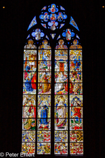 Glasfenster  Köln Nordrhein-Westfalen Deutschland by Peter Ehlert in Köln_Dom