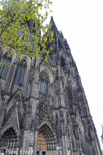 Westseite (Portal) des Kölner Doms  Köln Nordrhein-Westfalen Deutschland by Peter Ehlert in Köln_Dom