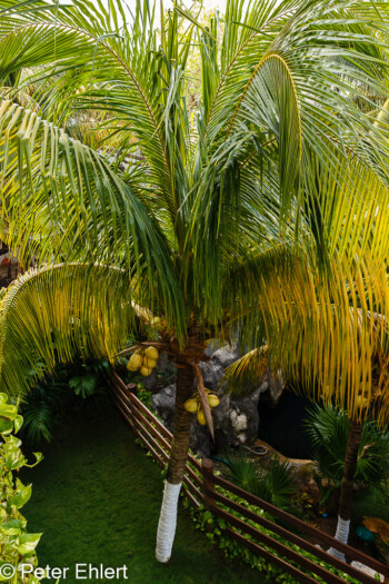 Posada Sian Kaan  Playa del Carmen Quintana Roo Mexiko by Peter Ehlert in Posada Sian Kaan