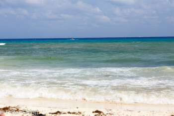 Strand - Fussel  Playa del Carmen Quintana Roo Mexiko by Peter Ehlert in Stadtrundgang Playa del Carmen