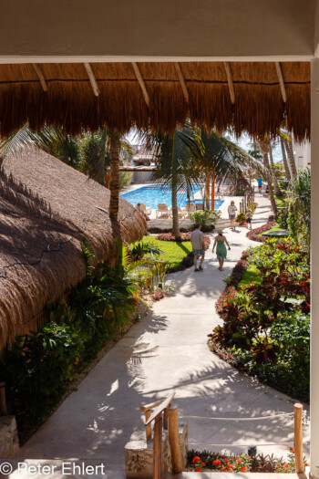 Weg zum Strand und zur Strand-Terrasse  Playa del Carmen Quintana Roo Mexiko by Peter Ehlert in Petit Lafitte Hotel