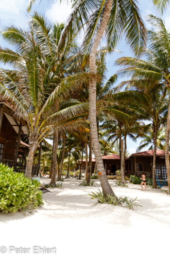 Weg Bungalow zum Meer  Playa del Carmen Quintana Roo Mexiko by Peter Ehlert in Petit Lafitte Hotel