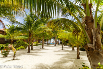 Weg vom Bungalow zum  Strand  Playa del Carmen Quintana Roo Mexiko by Peter Ehlert in Petit Lafitte Hotel