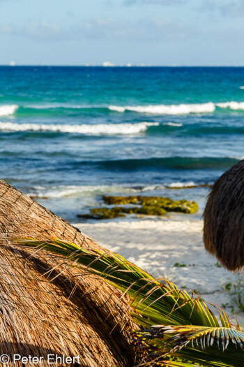 Blick auf Meer  Playa del Carmen Quintana Roo Mexiko by Peter Ehlert in Petit Lafitte Hotel
