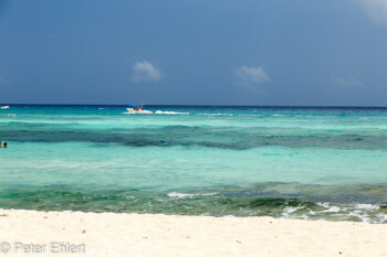 Blick auf Meer von der Bar Terrasse  Playa del Carmen Quintana Roo Mexiko by Peter Ehlert in Petit Lafitte Hotel