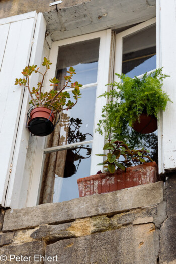 Blumen am Fenster  Bordeaux Département Gironde Frankreich by Peter Ehlert in Stadtrundgang Bordeaux