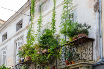 Balkon Begrünung  Bordeaux Département Gironde Frankreich by Peter Ehlert in Stadtrundgang Bordeaux