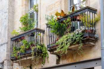 Begrünter Balkon  Bordeaux Département Gironde Frankreich by Peter Ehlert in Stadtrundgang Bordeaux