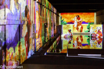 Monet, Renoir, Chagall, Bonnard, Dufy, Matisse, Signac  Bordeaux Département Gironde Frankreich by Peter Ehlert in Bassins de Lumières