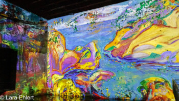 Monet, Renoir, Chagall, Bonnard, Dufy, Matisse, Signac  Bordeaux Département Gironde Frankreich by Lara Ehlert in Bassins de Lumières