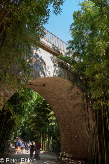 Eisenbahnbrücke  Générargues Gard Frankreich by Peter Ehlert in Bambouseraie