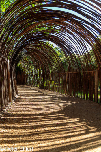 Eingang Bambusarium  Générargues Gard Frankreich by Peter Ehlert in Bambouseraie