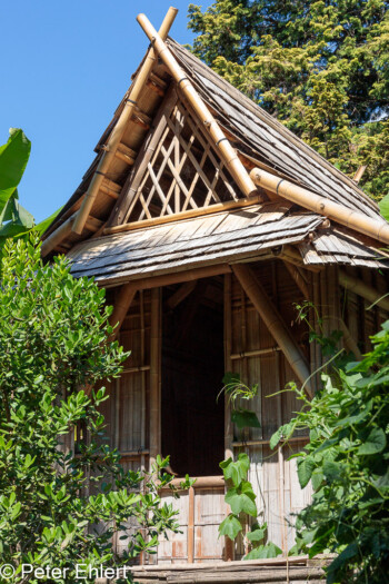 Wohnhaus  Générargues Gard Frankreich by Peter Ehlert in Bambouseraie