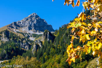 Karwendelgebirge  Vomp Tirol Österreich by Peter Ehlert in Ahornboden