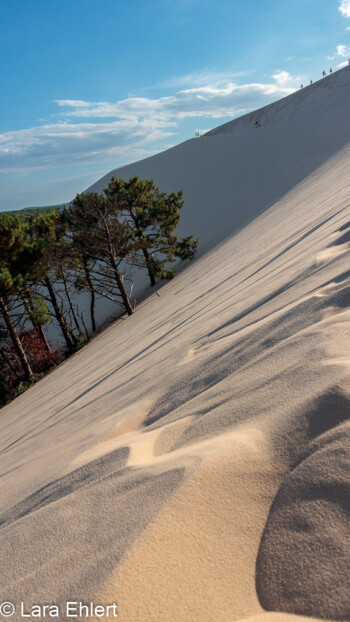 Dünen und Wald  La Teste-de-Buch Département Gironde Frankreich by Lara Ehlert in Dunde de Pilat