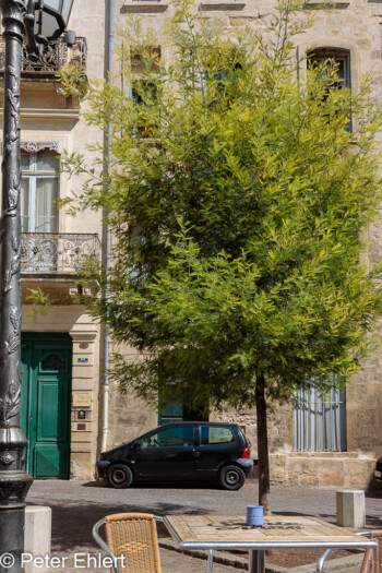 Place du petit scel  Montpellier Département Hérault Frankreich by Peter Ehlert in Montpellier