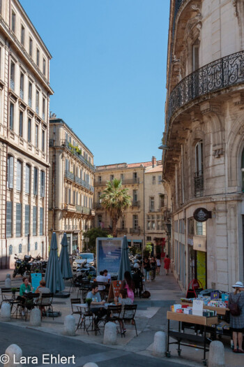 Rue Foch mit Palme  Montpellier Département Hérault Frankreich by Lara Ehlert in Montpellier