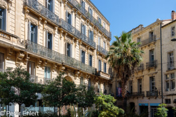 Stasthaus mit Palme  Montpellier Département Hérault Frankreich by Peter Ehlert in Montpellier