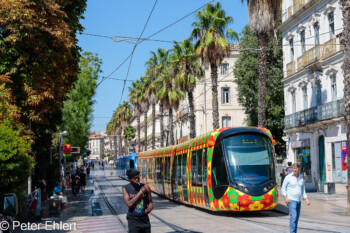 Niederflur Straßenbahn  Montpellier Département Hérault Frankreich by Peter Ehlert in Montpellier