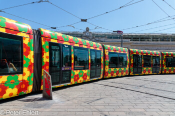 Niederflur Straßenbahn  Montpellier Département Hérault Frankreich by Peter Ehlert in Montpellier