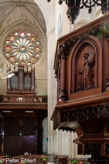 Orgel, Rosettenfenster und Kanzel  Montpellier Département Hérault Frankreich by Peter Ehlert in Montpellier - Saint-Roch