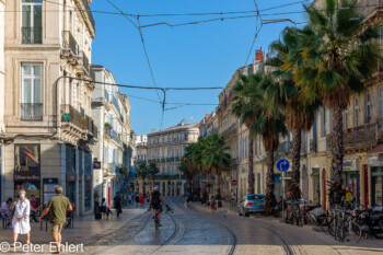 Straße mit Palmen  Montpellier Département Hérault Frankreich by Peter Ehlert in Montpellier