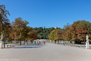 Eingang  Nîmes Gard Frankreich by Peter Ehlert in Nimes