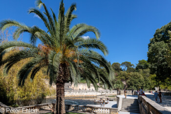 Sanctuaire de la Fontaine  Nîmes Gard Frankreich by Peter Ehlert in Nimes