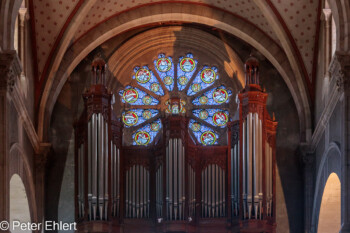 Rosettenfenster über der Orgel  Nîmes Gard Frankreich by Peter Ehlert in Nimes