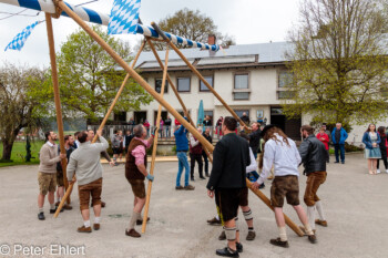 Maibaum Aufstellen 2022  Odelzhausen Bayern Deutschland by Peter Ehlert in SIBA_Maibaum