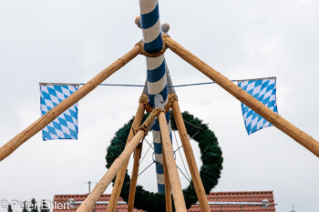 Maibaum Aufstellen 2022  Odelzhausen Bayern Deutschland by Peter Ehlert in SIBA_Maibaum