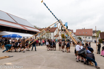 Maibaum Aufstellen 2022  Odelzhausen Bayern Deutschland by Peter Ehlert in SIBA_Maibaum