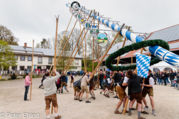 Maibaum Aufstellen 2022  Odelzhausen Bayern Deutschland by Peter Ehlert in SIBA_Maibaum