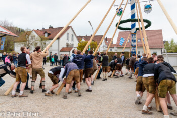 Maibaum Aufstellen 2022  Odelzhausen Bayern Deutschland by Peter Ehlert in SIBA_Maibaum