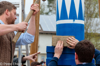 Maibaum Aufstellen 2022  Odelzhausen Bayern Deutschland by Peter Ehlert in SIBA_Maibaum