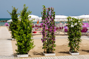 Strandabschnitt  Bellaria-Igea Marina Provinz Rimini Italien by Peter Ehlert in Wellness in Bellaria