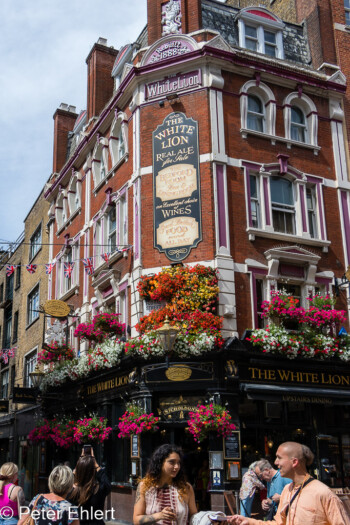 The White Lion Pub  London England Vereinigtes Königreich by Peter Ehlert in GB-London-covent
