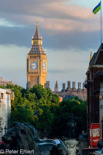 Big Ben  London England Vereinigtes Königreich by Peter Ehlert in GB-London-trafalgar-westm