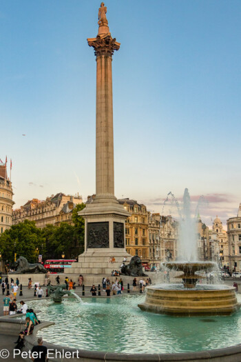 Brunnen und Nelson Statue  London England Vereinigtes Königreich by Peter Ehlert in GB-London-trafalgar-westm