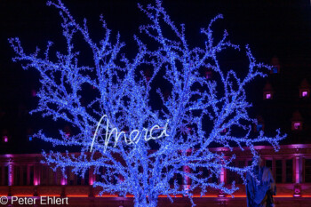 Merci - Place Guttenberg  Straßburg Département Bas-Rhin Frankreich by Peter Ehlert in Weihnachtsmarkt 2022