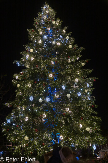 Die große Tanne  Straßburg Département Bas-Rhin Frankreich by Peter Ehlert in Weihnachtsmarkt 2022