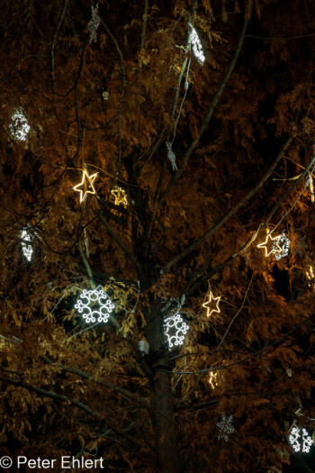 Münsterrosette  Straßburg Département Bas-Rhin Frankreich by Peter Ehlert in Weihnachtsmarkt 2022