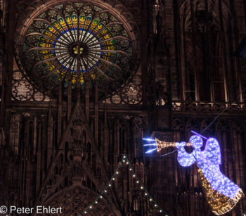 Münsterrosette  Straßburg Département Bas-Rhin Frankreich by Peter Ehlert in Weihnachtsmarkt 2022