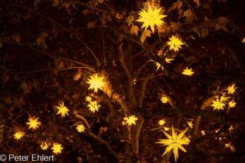 Sterne im Baum  Straßburg Département Bas-Rhin Frankreich by Peter Ehlert in Weihnachtsmarkt 2022