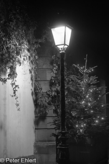 Laterne in Gasse  Straßburg Département Bas-Rhin Frankreich by Peter Ehlert in Weihnachtsmarkt 2022