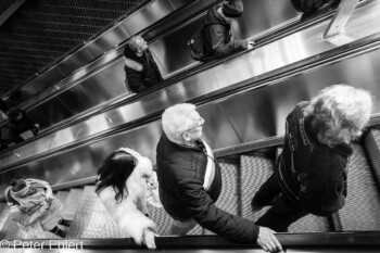 Rolltreppen  München Bayern Deutschland by Peter Ehlert in muc-street