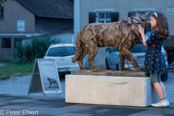 Wolf und Mädchen  Sulzemoos Bayern Deutschland by Peter Ehlert in Ausstellung Juergen Lingl